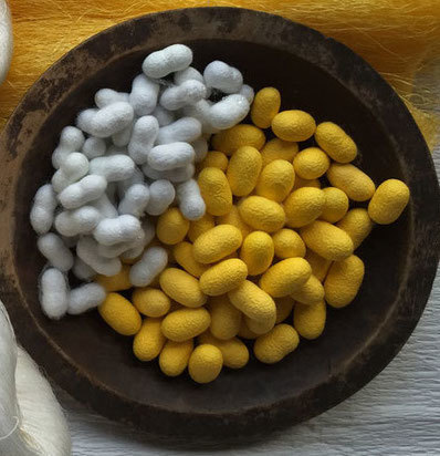 Varieties of cocoons